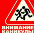 Профилактическое мероприятие «Зимние каникулы» - Газета Южноуралец