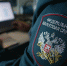 Нажмите для предварительного просмотра изображения - Газета Южноуралец