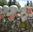 Чебаркульский район примет военно-спортивные молодежные сборы - Газета Южноуралец