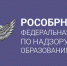 Рособрнадзор готов увеличить объемы онлайн-наблюдения во время проведения ЕГЭ-2021 - Управление образования