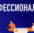 22 октября состоится единый день открытых дверей ФП "Профессионалитет" - Управление образования