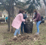 Южноуральцев приглашают на "Всероссийский субботник" - Южноуралец - Газета - Газета Южноуралец