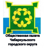 Заседание Общественной палаты Чебаркульского ГО