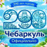 – 290 лет со дня основания города Чебаркуль (1736). - Городская библиотека